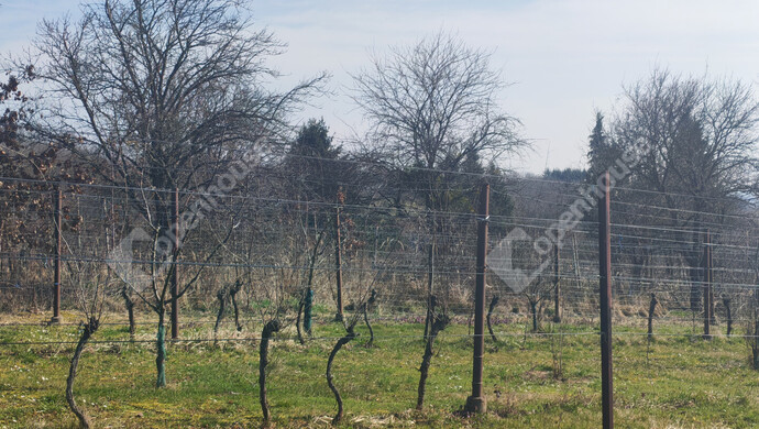 36. kép | Eladó Nyaraló, Becsehely (#180205)