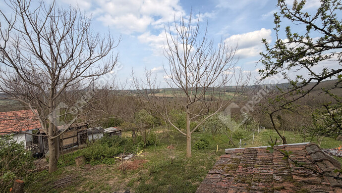 12. kép | Eladó Zárt kert, Babosdöbréte (#181128)