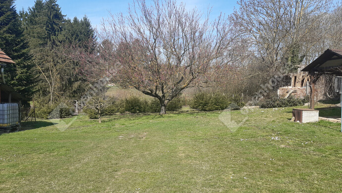 37. kép | Eladó Családi ház, Nagykanizsa (#180380)