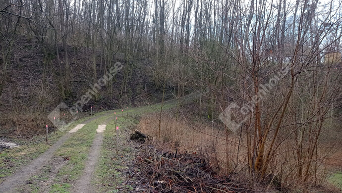 24. kép | Eladó Zárt kert, Söjtör (#179843)