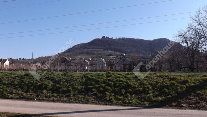 36. kép | Eladó Családi ház, Somlószőlős (#179906)