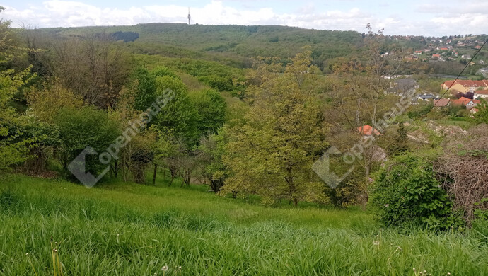 5. kép | Eladó Telek, Zalaegerszeg (#181205)