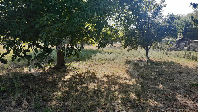 28. kép | Eladó Nyaraló, Rigyác (#176493)