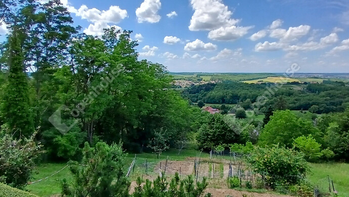 3. kép | Eladó Zárt kert, Zalaegerszeg (#182256)