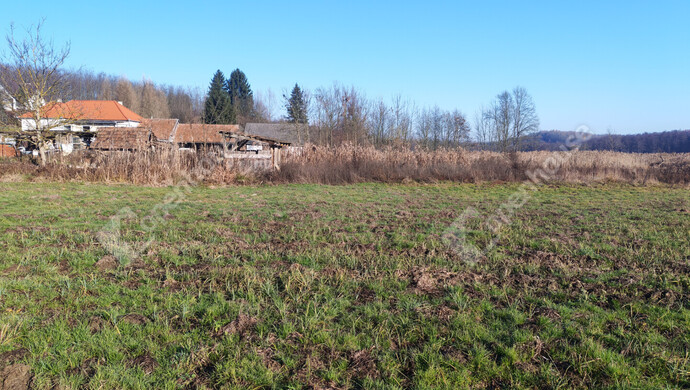 10. kép | Eladó Telek, Kiscsehi (#178890)