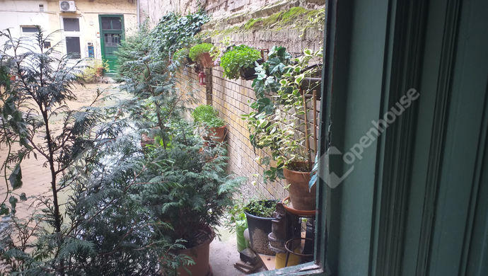 13. kép | Zöld oázis a lakással szemben az udvaron | Eladó Társasházi lakás, Budapest VIII. Ker. (#159744)