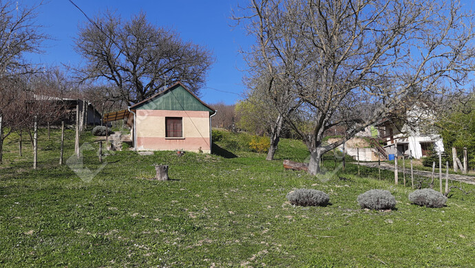 8. kép | Eladó Családi ház, Gősfa (#178305)