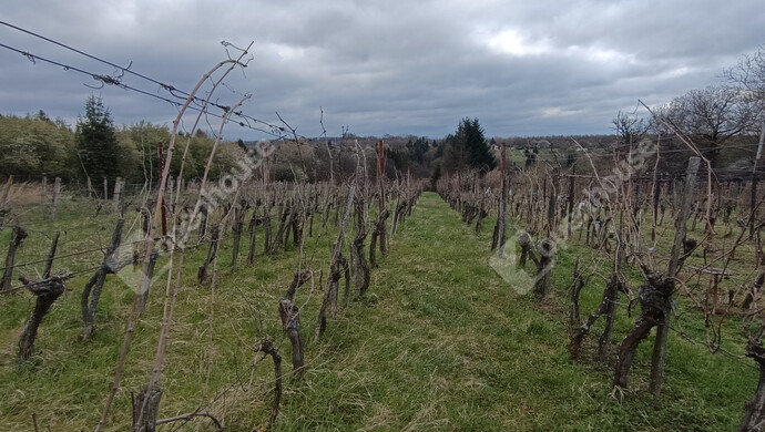 25. kép | Eladó Családi ház, Nagykanizsa (#180983)