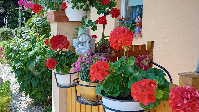 0. kép | Eladó Családi ház, Balatonszentgyörgy (#177639)