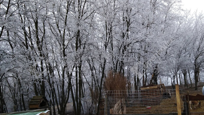 22. kép | Eladó Zárt kert, Ságvár (#177157)