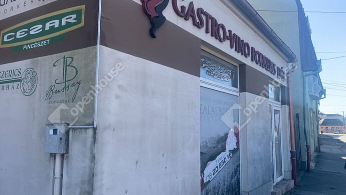 91. kép | Eladó Családi ház, Nagykanizsa (#179587)