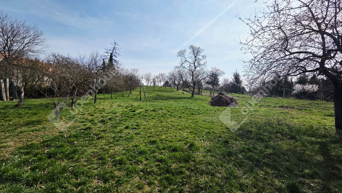 2. kép | Székesfehérvár eladó telek | Eladó Telek, Székesfehérvár (#180413)