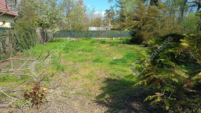 8. kép | Telek másik fele külön bejárattal | Eladó Nyaraló, Szeged (#180993)