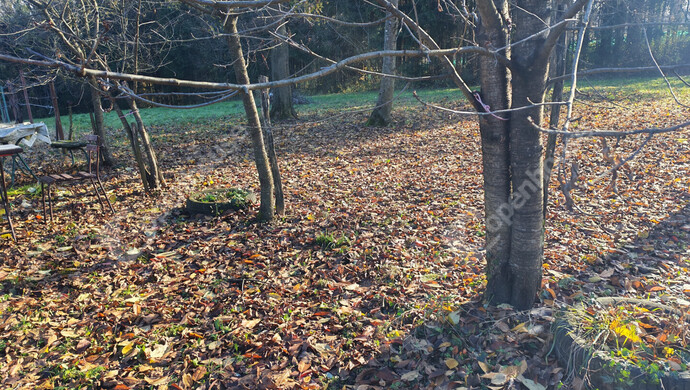 42. kép | Eladó Nyaraló, Letenye (#178652)