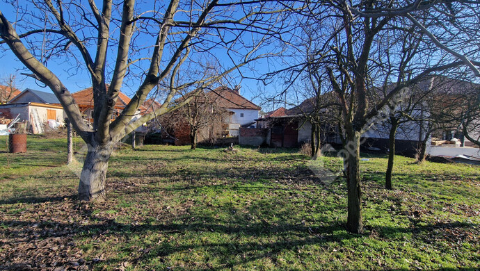 19. kép | Eladó Családi ház, Felsőzsolca (#180239)