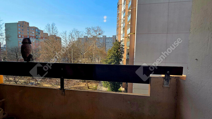 13. kép | Székesfehérvár kiadó társasházi lakás | Kiadó Társasházi lakás, Székesfehérvár (#180193)