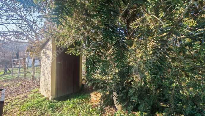 81. kép | Eladó Nyaraló, Becsehely (#180205)