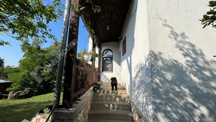 37. kép | Bejárat az utca felől | Eladó Családi ház, Harsány (#176944)