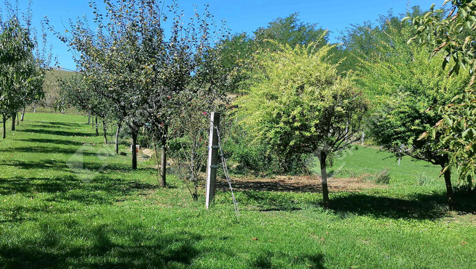 14. kép | Eladó Nyaraló, Pacsa (#178067)