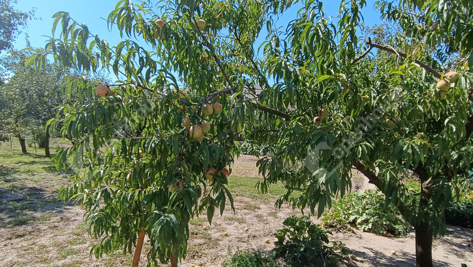 31. kép | Eladó Családi ház, Nagykanizsa (#176993)