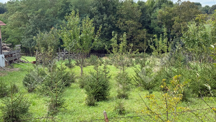 22. kép | Eladó Telek, Kustánszeg (#176957)