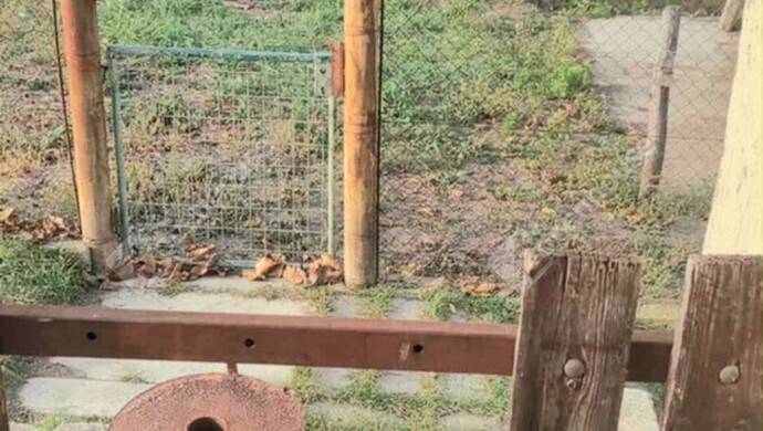 11. kép | Eladó Zárt kert, Ács (#178816)