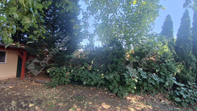 34. kép | Eladó Családi ház, Balatonboglár (#177807)