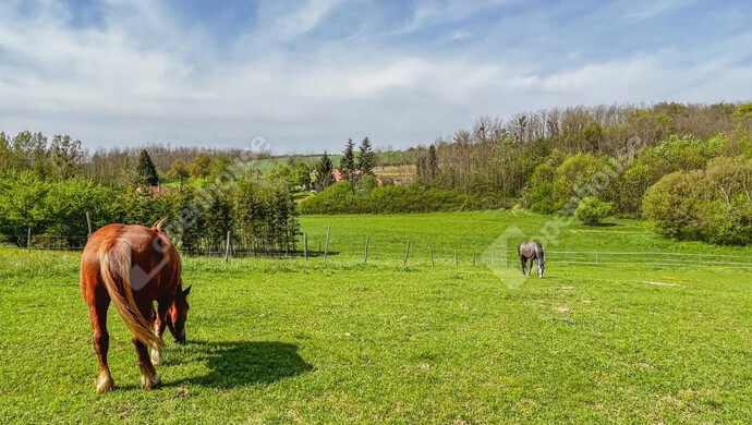3. kép | Eladó Telek, Hagyárosbörönd (#179152)