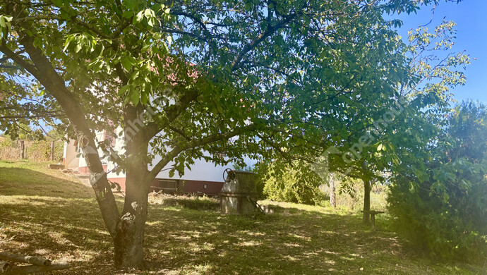 15. kép | Eladó Családi ház, Ádánd (#177301)