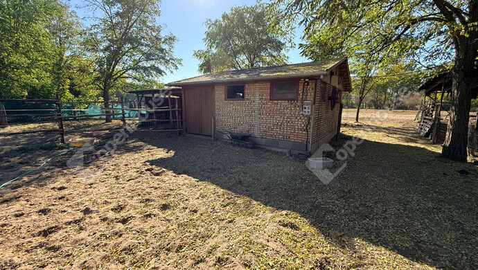 26. kép | Eladó Családi ház, Pilis (#178002)