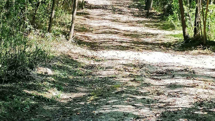 14. kép | Eladó Nyaraló, Zalaigrice (#178070)