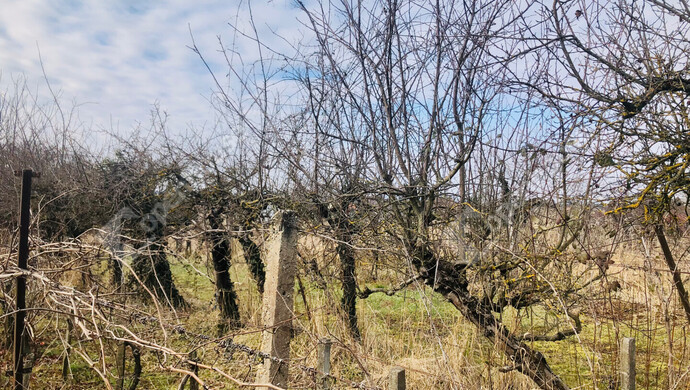 14. kép | Eladó Nyaraló, Nagykanizsa (#175740)