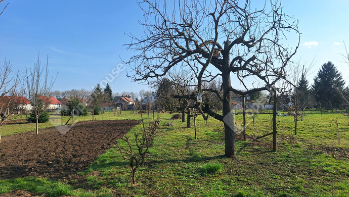 18. kép | Eladó Családi ház, Rábatamási (#180321)