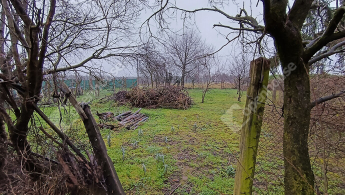 26. kép | Eladó Családi ház, Jánosháza (#179082)