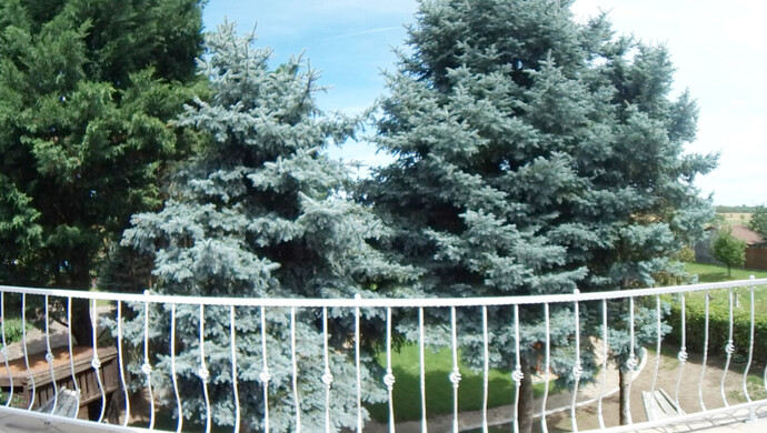 4. kép | Eladó Családi ház, Mályi (#176307)